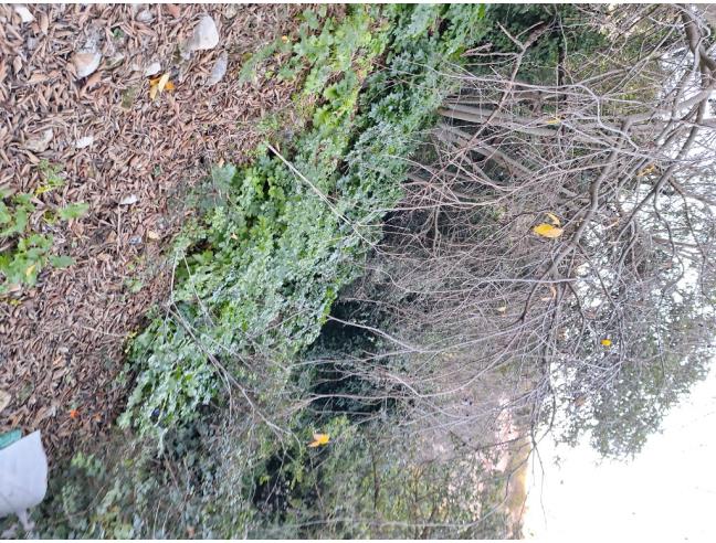 Anteprima foto 2 - Terreno Agricolo/Coltura in Vendita a Modica - Marina Di Modica