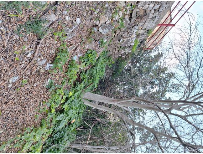 Anteprima foto 3 - Terreno Agricolo/Coltura in Vendita a Modica - Marina Di Modica