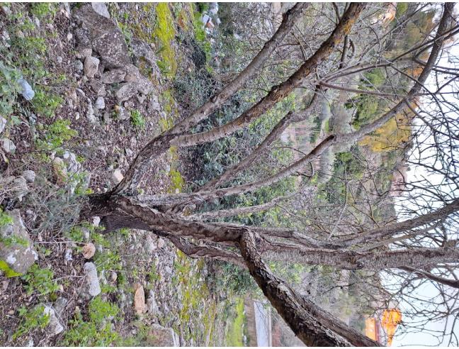Anteprima foto 5 - Terreno Agricolo/Coltura in Vendita a Modica - Marina Di Modica