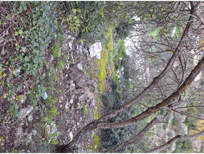 Anteprima foto 7 - Terreno Agricolo/Coltura in Vendita a Modica - Marina Di Modica