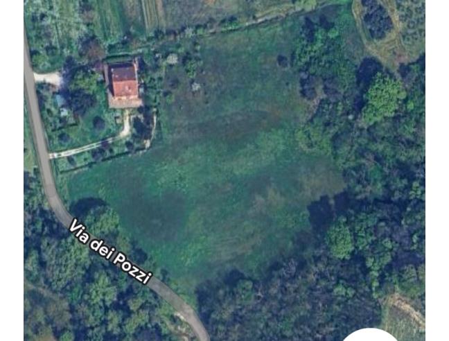Anteprima foto 3 - Terreno Agricolo/Coltura in Vendita a Mombaroccio - Cairo