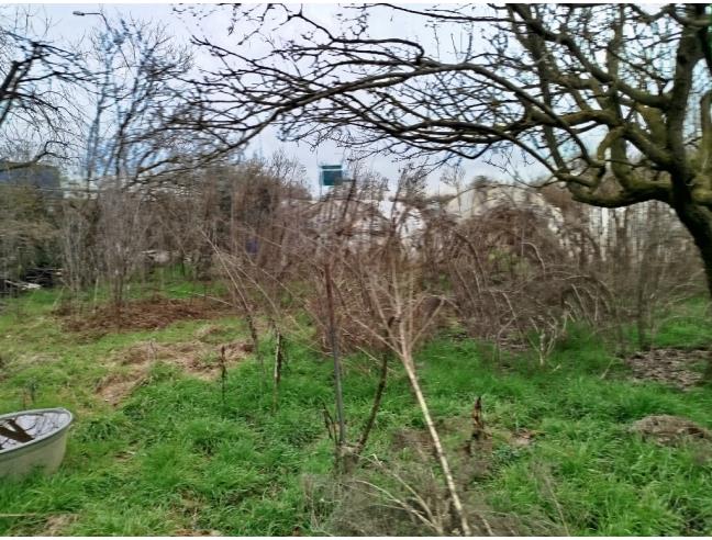 Anteprima foto 2 - Terreno Agricolo/Coltura in Vendita a Moncalieri - Tagliaferro