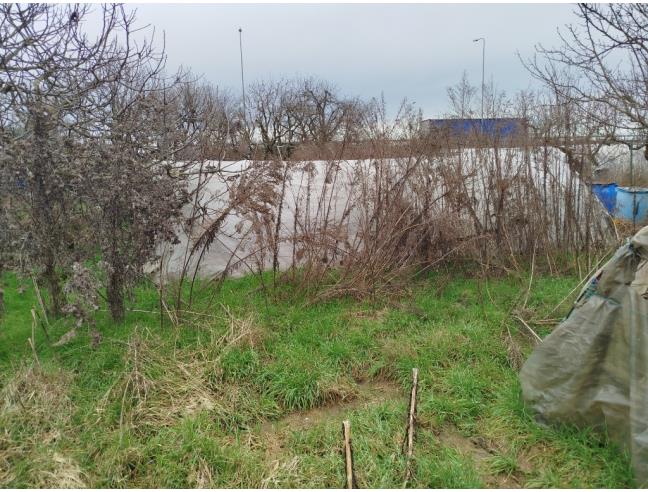 Anteprima foto 3 - Terreno Agricolo/Coltura in Vendita a Moncalieri - Tagliaferro