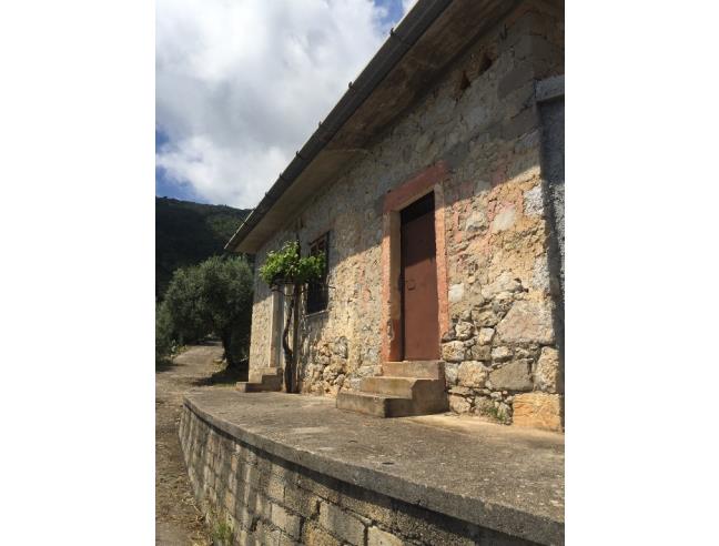 Anteprima foto 3 - Terreno Agricolo/Coltura in Vendita a Monte San Biagio (Latina)