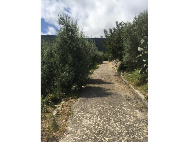 Anteprima foto 4 - Terreno Agricolo/Coltura in Vendita a Monte San Biagio (Latina)