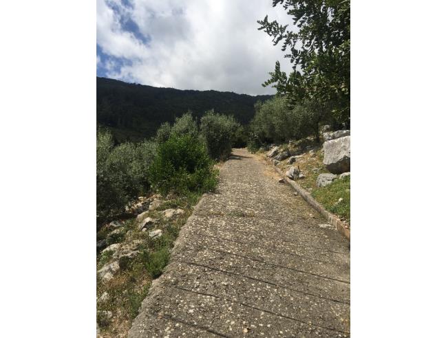 Anteprima foto 5 - Terreno Agricolo/Coltura in Vendita a Monte San Biagio (Latina)