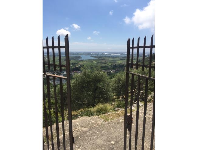 Anteprima foto 7 - Terreno Agricolo/Coltura in Vendita a Monte San Biagio (Latina)