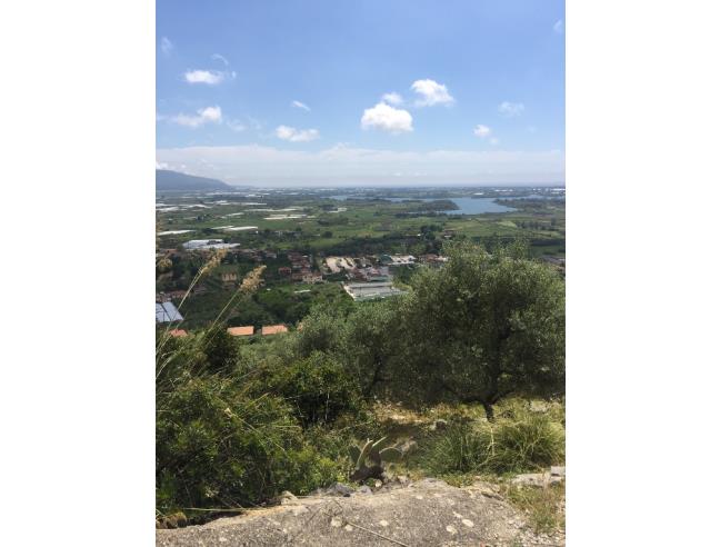 Anteprima foto 8 - Terreno Agricolo/Coltura in Vendita a Monte San Biagio (Latina)