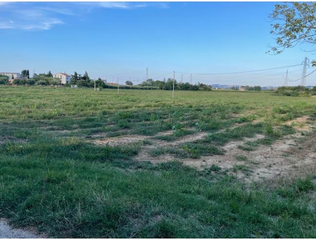 Anteprima foto 1 - Terreno Agricolo/Coltura in Vendita a Monte San Vito - Borghetto