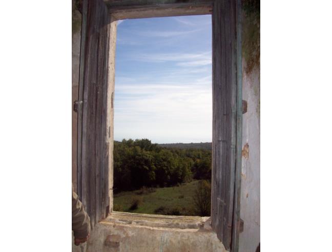 Anteprima foto 5 - Terreno Agricolo/Coltura in Vendita a Monte Sant'Angelo (Foggia)