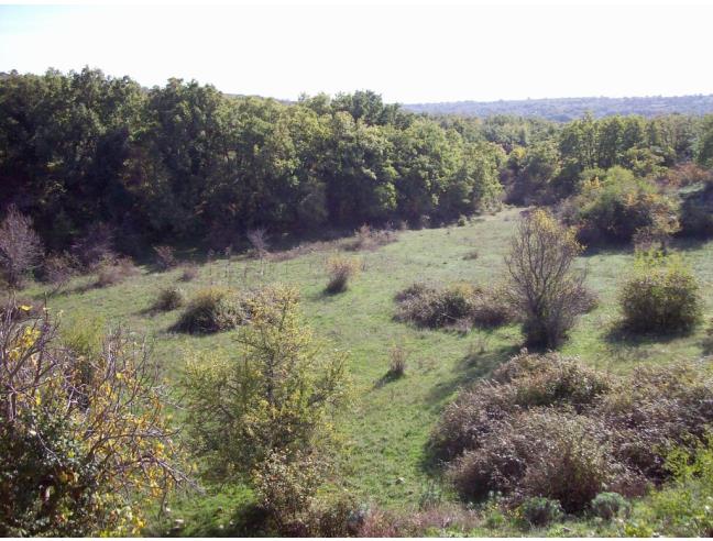 Anteprima foto 6 - Terreno Agricolo/Coltura in Vendita a Monte Sant'Angelo (Foggia)