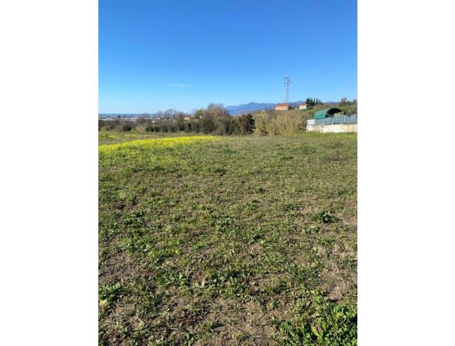 Anteprima foto 2 - Terreno Agricolo/Coltura in Vendita a Montecorvino Pugliano - San Vito