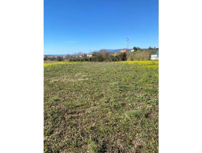 Anteprima foto 3 - Terreno Agricolo/Coltura in Vendita a Montecorvino Pugliano - San Vito