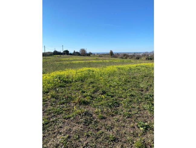 Anteprima foto 5 - Terreno Agricolo/Coltura in Vendita a Montecorvino Pugliano - San Vito
