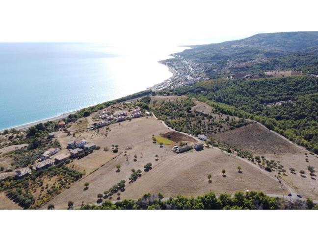 Anteprima foto 1 - Terreno Agricolo/Coltura in Vendita a Montegiordano (Cosenza)