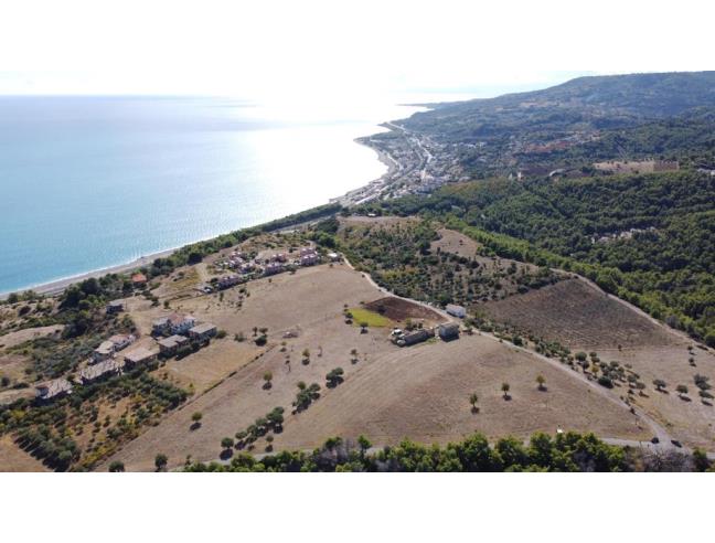 Anteprima foto 5 - Terreno Agricolo/Coltura in Vendita a Montegiordano (Cosenza)