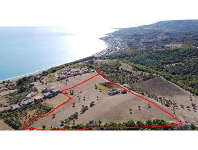 Anteprima foto 6 - Terreno Agricolo/Coltura in Vendita a Montegiordano (Cosenza)