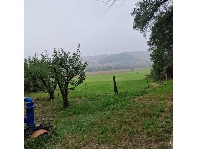 Anteprima foto 2 - Terreno Agricolo/Coltura in Vendita a Montegiorgio - Piane Di Montegiorgio