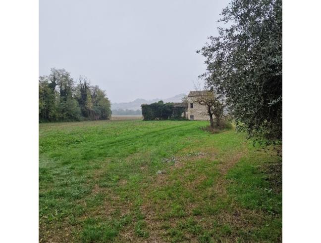Anteprima foto 3 - Terreno Agricolo/Coltura in Vendita a Montegiorgio - Piane Di Montegiorgio