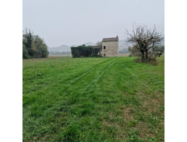 Anteprima foto 4 - Terreno Agricolo/Coltura in Vendita a Montegiorgio - Piane Di Montegiorgio