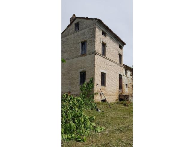 Anteprima foto 6 - Terreno Agricolo/Coltura in Vendita a Montegiorgio - Piane Di Montegiorgio