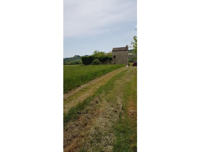 Anteprima foto 7 - Terreno Agricolo/Coltura in Vendita a Montegiorgio - Piane Di Montegiorgio
