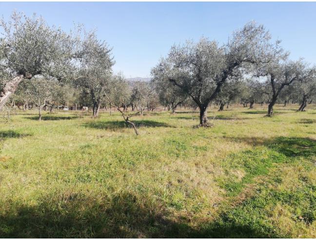 Anteprima foto 1 - Terreno Agricolo/Coltura in Vendita a Montelibretti (Roma)