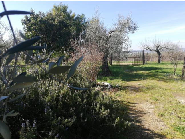 Anteprima foto 2 - Terreno Agricolo/Coltura in Vendita a Montelibretti (Roma)
