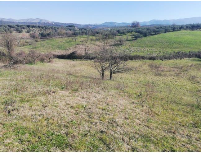 Anteprima foto 5 - Terreno Agricolo/Coltura in Vendita a Montelibretti (Roma)
