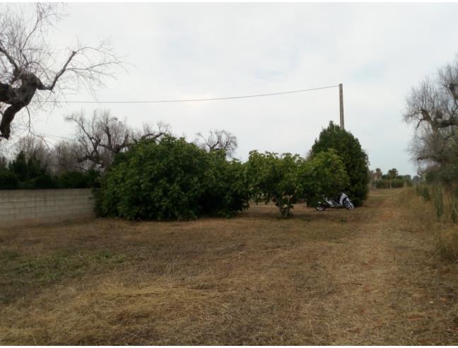 Anteprima foto 1 - Terreno Agricolo/Coltura in Vendita a Monteroni di Lecce (Lecce)