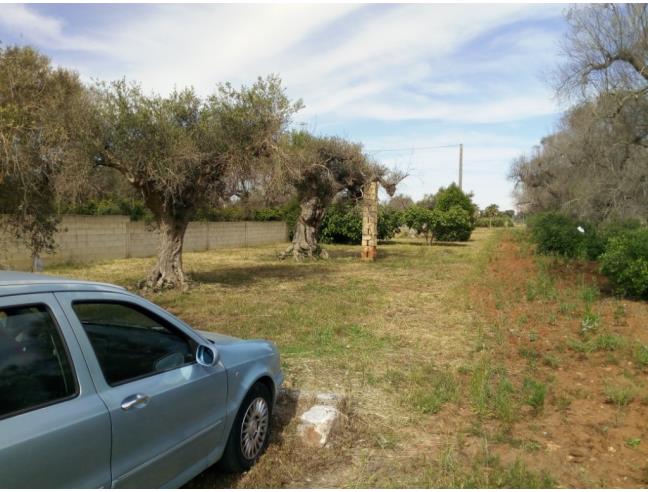 Anteprima foto 2 - Terreno Agricolo/Coltura in Vendita a Monteroni di Lecce (Lecce)