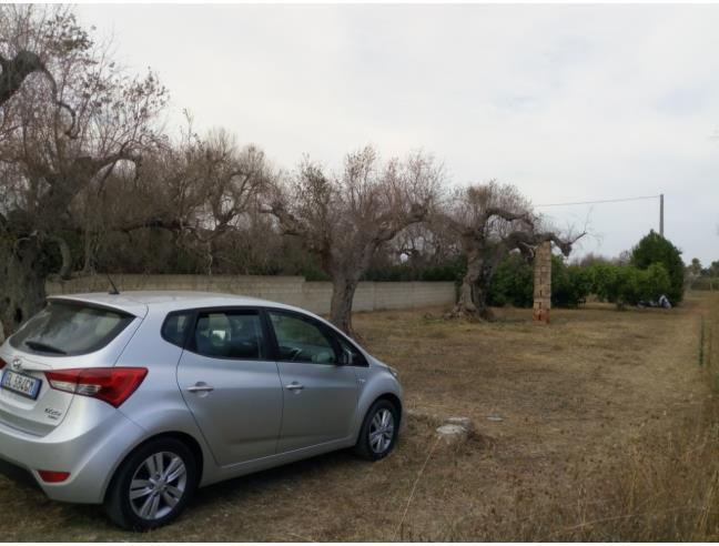 Anteprima foto 3 - Terreno Agricolo/Coltura in Vendita a Monteroni di Lecce (Lecce)