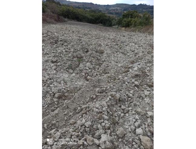 Anteprima foto 2 - Terreno Agricolo/Coltura in Vendita a Monterosso Almo (Ragusa)