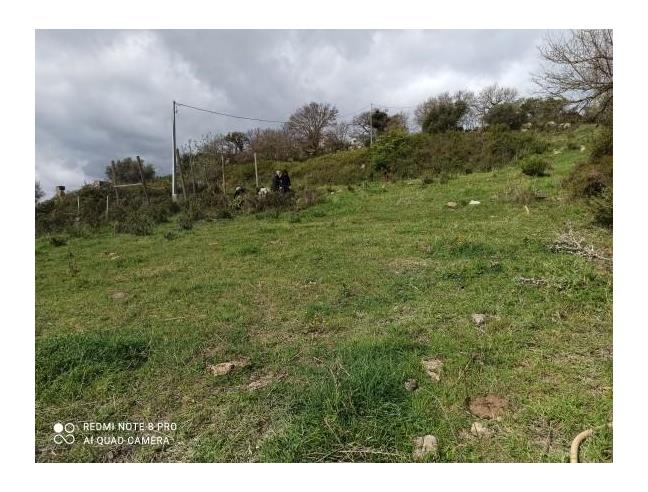 Anteprima foto 3 - Terreno Agricolo/Coltura in Vendita a Monterosso Almo (Ragusa)