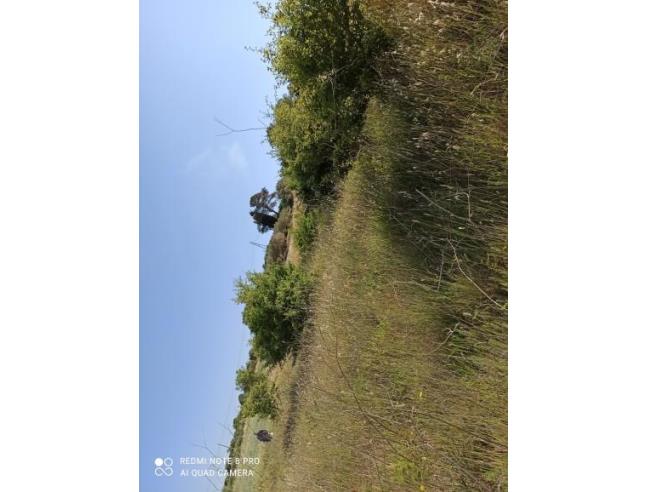 Anteprima foto 4 - Terreno Agricolo/Coltura in Vendita a Monterosso Almo (Ragusa)