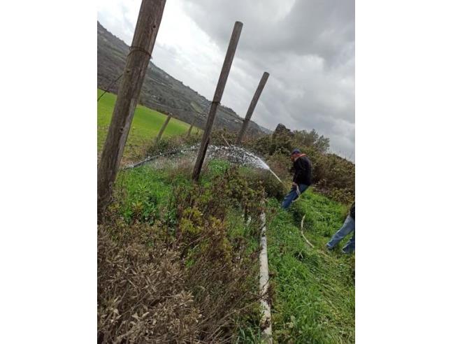 Anteprima foto 5 - Terreno Agricolo/Coltura in Vendita a Monterosso Almo (Ragusa)