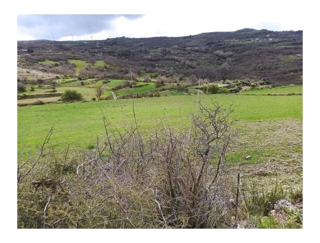 Anteprima foto 6 - Terreno Agricolo/Coltura in Vendita a Monterosso Almo (Ragusa)