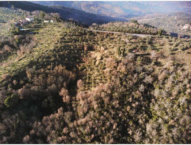 Anteprima foto 1 - Terreno Agricolo/Coltura in Vendita a Montevarchi - Moncioni