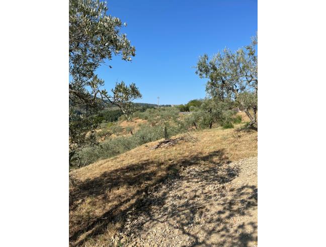 Anteprima foto 5 - Terreno Agricolo/Coltura in Vendita a Montevarchi - Moncioni