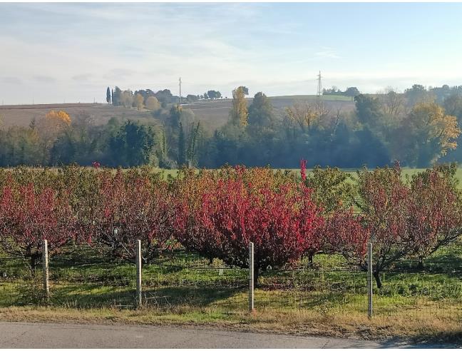 Anteprima foto 1 - Terreno Agricolo/Coltura in Vendita a Monteveglio - Monteveglio Alto