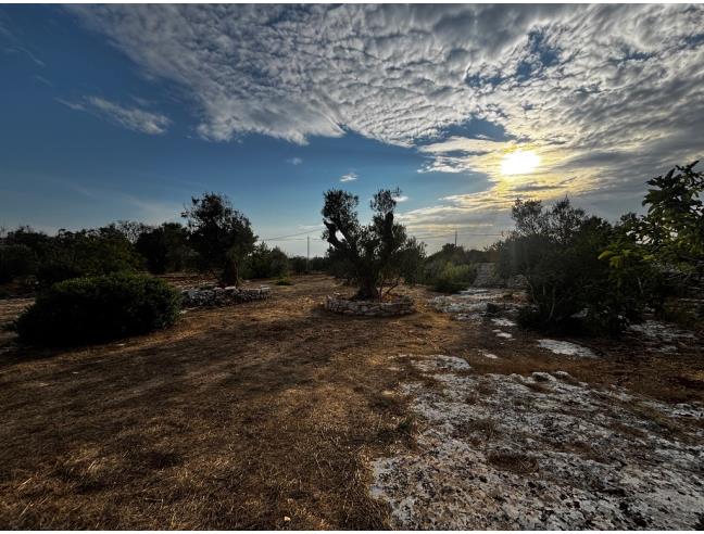 Anteprima foto 3 - Terreno Agricolo/Coltura in Vendita a Morciano di Leuca - Torre Vado
