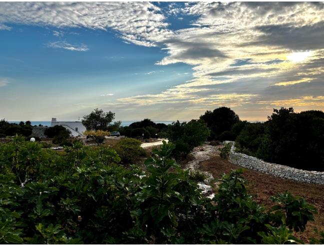 Anteprima foto 5 - Terreno Agricolo/Coltura in Vendita a Morciano di Leuca - Torre Vado