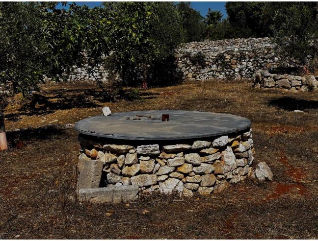 Anteprima foto 7 - Terreno Agricolo/Coltura in Vendita a Morciano di Leuca - Torre Vado