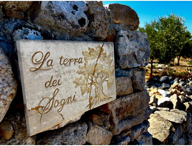 Anteprima foto 8 - Terreno Agricolo/Coltura in Vendita a Morciano di Leuca - Torre Vado