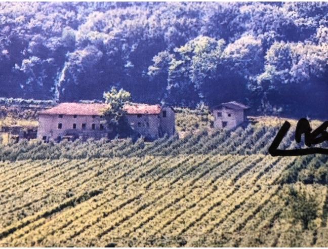 Anteprima foto 2 - Terreno Agricolo/Coltura in Vendita a Mori (Trento)