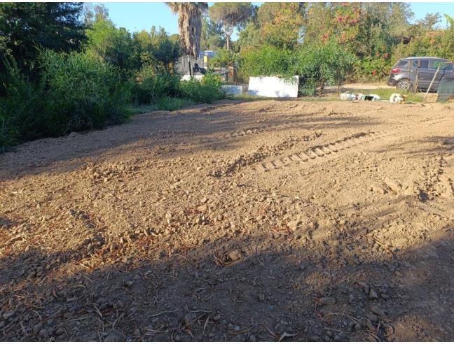 Anteprima foto 2 - Terreno Agricolo/Coltura in Vendita a Muravera (Sud Sardegna)