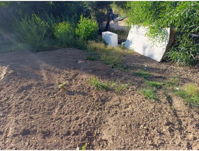 Anteprima foto 3 - Terreno Agricolo/Coltura in Vendita a Muravera (Sud Sardegna)