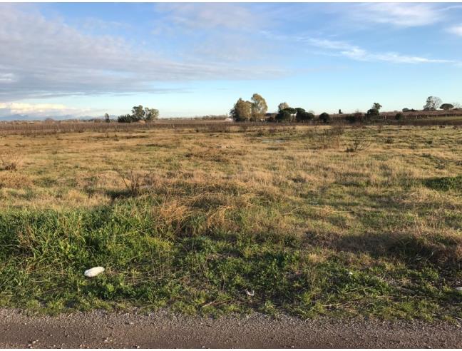 Anteprima foto 1 - Terreno Agricolo/Coltura in Vendita a Nettuno (Roma)