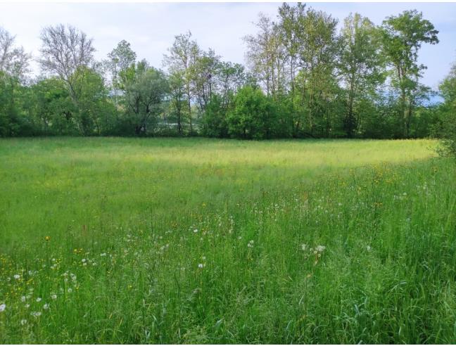 Anteprima foto 1 - Terreno Agricolo/Coltura in Vendita a Nibionno - Gaggio