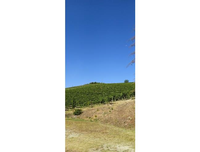 Anteprima foto 6 - Terreno Agricolo/Coltura in Vendita a Nizza Monferrato (Asti)